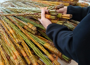 Pomlázka pro Charitu: velikonoční tradice, která pomáhá