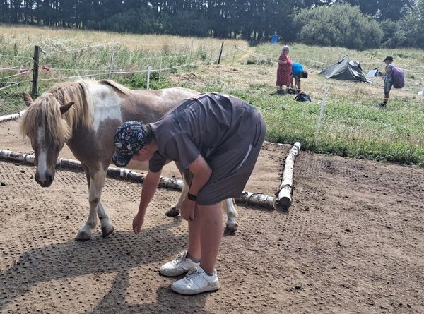 Když důvěra přichází po čtyřech kopytech Když důvěra přichází po čtyřech kopytech